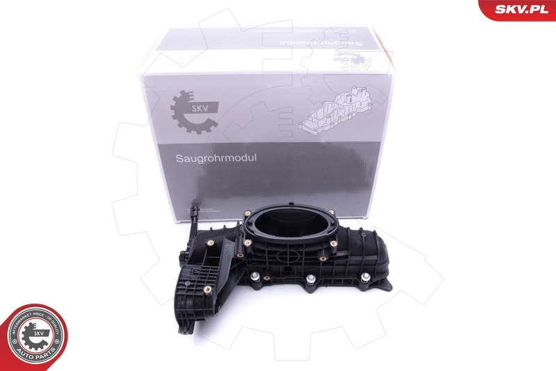 Intake Manifold Module